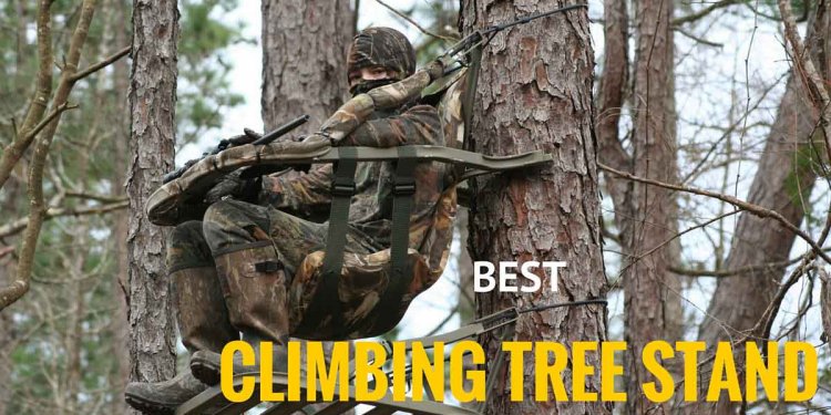 Best Climbing Tree Stand