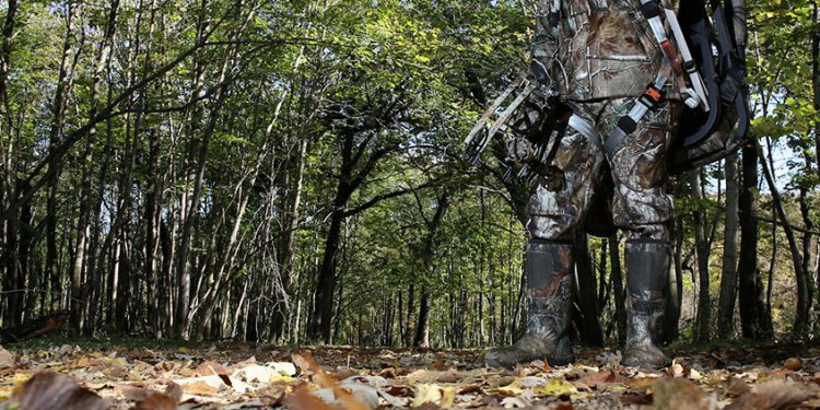 Early Season Bow Hunting Tree