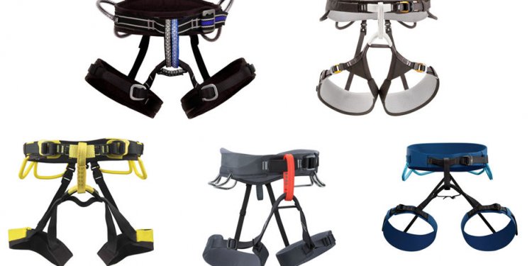 Rock Climbing harnesses