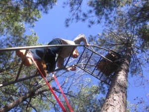 18. Climbing Tree Stand