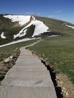 alpine-ridge-trail