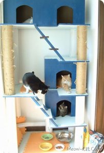 cat tree plan 4