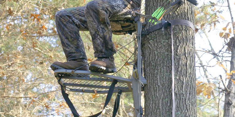 Bass Pro Climbing Tree Stands