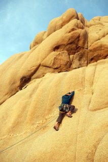 Five Ten Anasazi Pink Joshua Tree