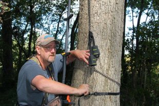 hanging-stands-safely