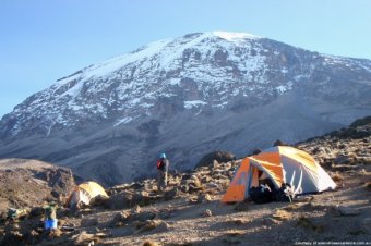 Mt Kilimanjaro