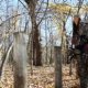 Aluminum Climbing Tree Stands