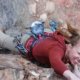 Black Diamond Rock Climbing Harnesses