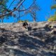 Great Falls rock climbing