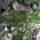 Outdoor Rock climbing Sydney