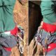 Petzl Corax Climbing harness