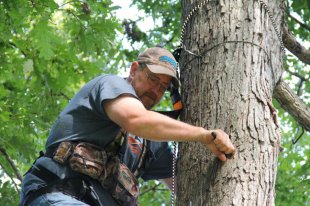 safely-hanging-stands