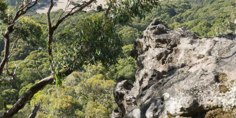 Outdoor Rock climbing Victoria