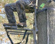 Bass Pro Climbing Tree Stands