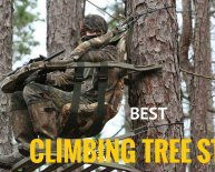 Best Climbing Tree Stands