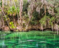 Outdoor Rock climbing in Florida