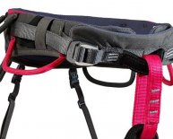 Pink Rock Climbing harness