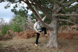 tree climbing